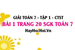 Giải bài 1 trang 20 Toán 7 Tập 1 SGK Chân trời sáng tạo